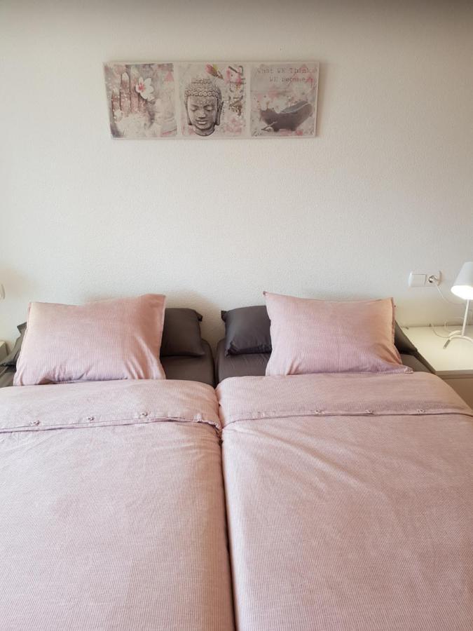 Appartement Torre La Mata Τορεβιέχα Εξωτερικό φωτογραφία